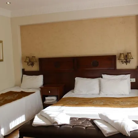 Old City Eros Hotel Hotel *